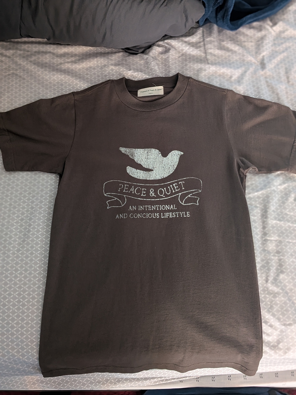 Peace & Quiet Dove Graphic Tee - Charcoal